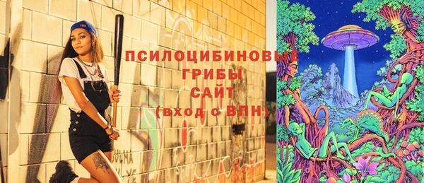 хмурый Балабаново