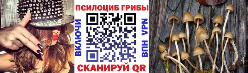 Галлюциногенные грибы GOLDEN TEACHER  как найти закладки  Свободный 